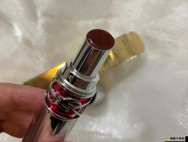 ysl 蜜桃棕调色打造独特魅力