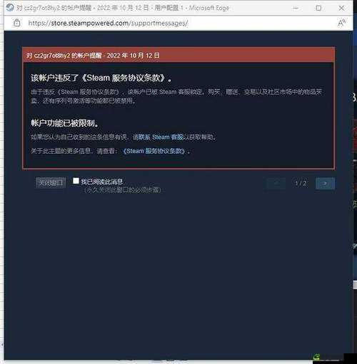 俄罗斯卖 csgo 的网站免费进入：需谨慎以防被骗